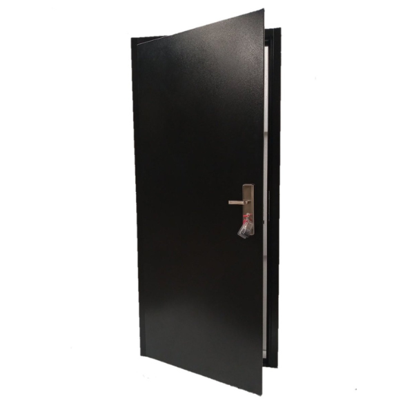 Budget Steel Security Door